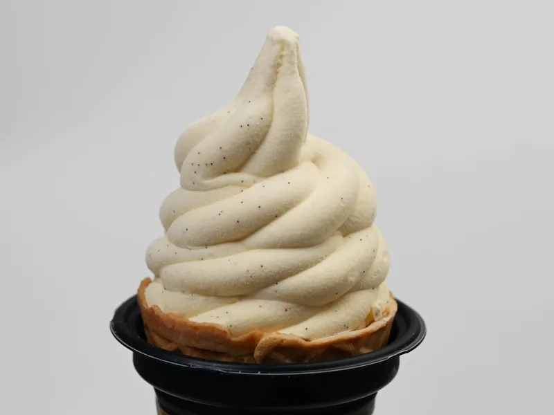 金のアイス ワッフルコーン マダガスカルバニラ 3